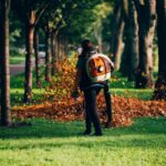arborist Sydney