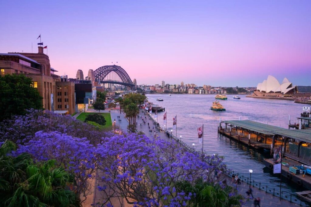 Woolwich Florist: Flowers for a Historic Harbour Peninsula