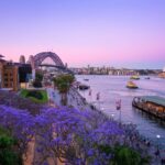 Woolwich Florist: Flowers for a Historic Harbour Peninsula